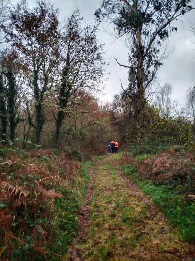 Sendero forestal rodeado de árboles y vegetación, con personas al fondo.