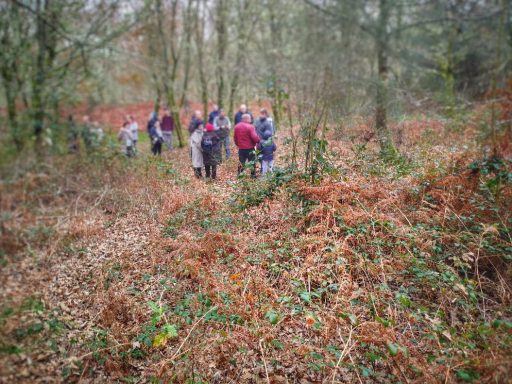 Grupo de personas caminando entre árboles y maleza en un bosque.