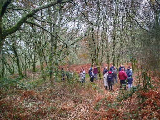 Grupo de personas caminando entre árboles y arbustos en un bosque.