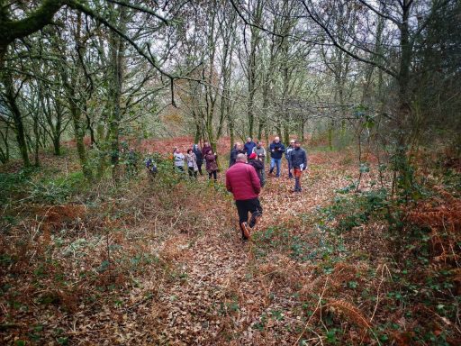 Grupo de personas caminando por un sendero en un bosque.