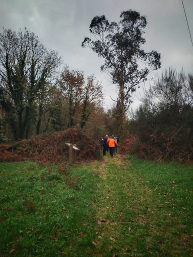 Dos personas caminan por un sendero de campo rodeado de arbustos y árboles despejados.