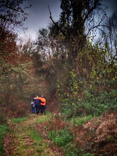 Personas caminando por un sendero en un bosque con árboles y vegetación.