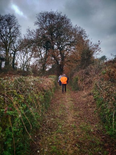 Camino rural estrecho con una persona que lleva chaqueta naranja entre arbustos.